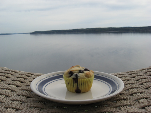 Best-Ever Blueberry Muffins