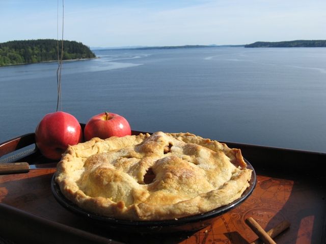 Karin's Chicken Pot Pie