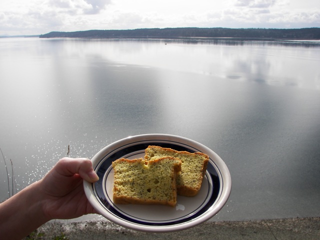 Lemon Poppy Seed Cake