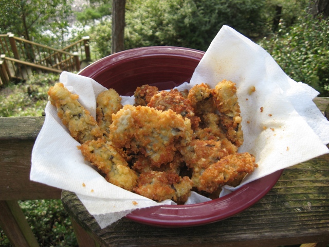 Oysters fried by Denny Duback