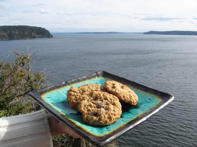 Vanishing Oatmeal Raisin Cookies baked by Sandra Davis